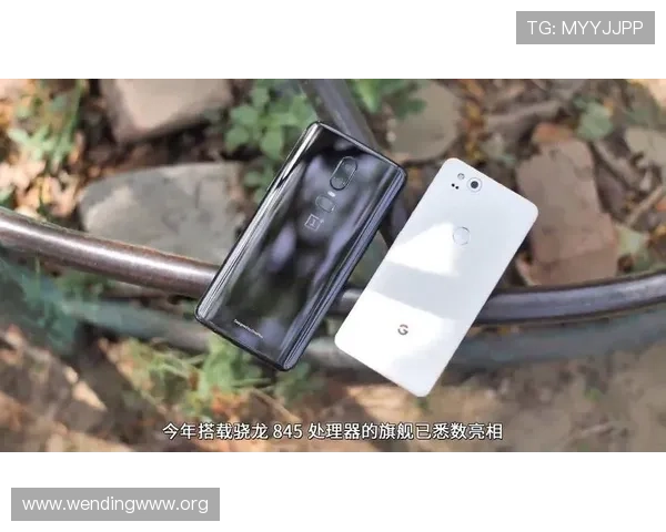 问鼎旗舰厅官方地址2024最新版，快速访问官方平台的详细步骤